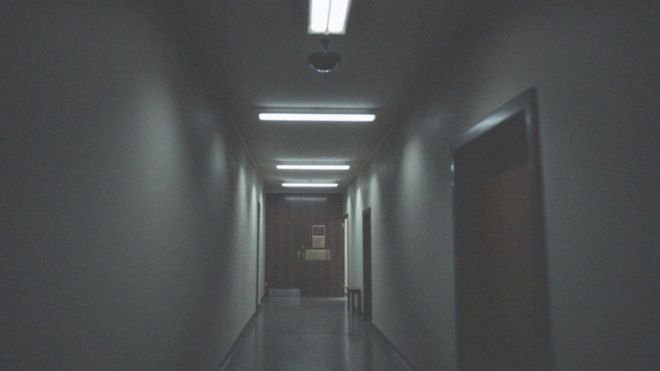 Jakie były zarzuty wobec Misiewicza?