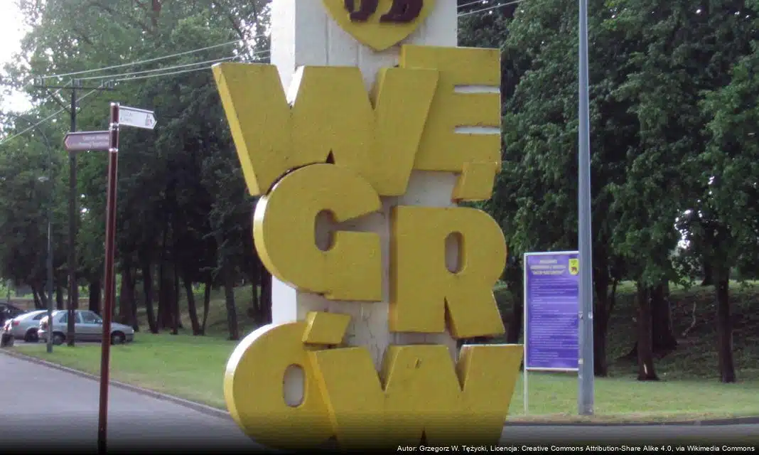 Kandydatury do godności miejskich w Węgrowie – rozpoczęcie zgłoszeń